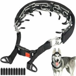 Collier étrangleur pour Chiens avec Boucle à Pression, Collier de Dressage à Griffes pour Chien,