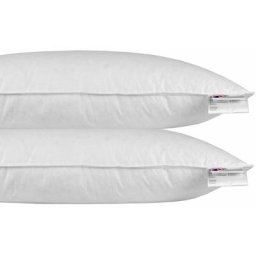 HOMESCAPES Oreiller en Plumes et duvet d'oie 40 x 80 cm - lot de 2 - Blanc