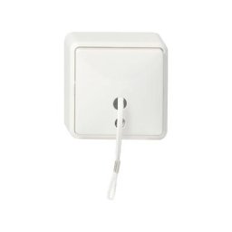 014613 blanc interrupteur d'éclairage - Gira
