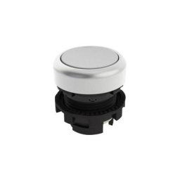 Pizzato Elettrica - E21PU2R2290 Bouton poussoir à pression blanc 1 pc(s) - blanc