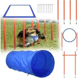Agility Kit d'équipement pour chien avec tunnel pour chien, barres tressées, anneau de saut, barre
