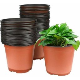 50 pcs 15 cm Plastique Plante Pots de Fleurs Pot de Semis Pépinières Fleur Plante Conteneur