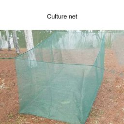 Clôture d'élevage en filet à poisson diversifié non cubique empêche les glissements de terrain