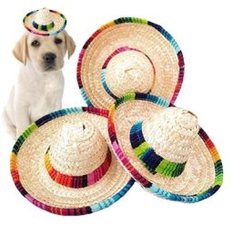 Mini chapeau en paille naturelle pour animaux de compagnie nouveau Design mexicain fournitures
