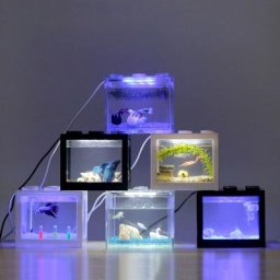 Mini Aquarium avec lampe LED USB accessoires de décoration pour Table à thé bureau maison