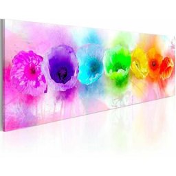 Tableau panoramique - coquelicots arc-en-ciel - 120 x 40 cm - Multicolore