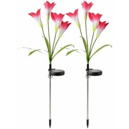 Lampes solaires d'extérieur à fleurs, 4 piquets décoratifs de fleurs de lys rvb Couleur led