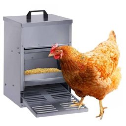 Mangeoire à pédale pour poules distributeur automatique 5 kg anti-nuisibles - Métal-clair
