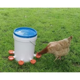 5 pcs, Abreuvoir Poules, Abreuvoir Automatique Poule Kit, Abreuvoirs Automatiques De Poulet,