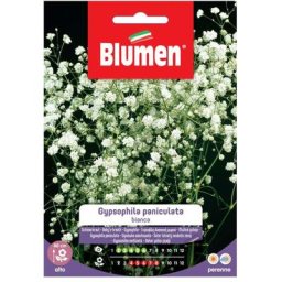 Graines de gypsophile paniculata Blumen blanc
