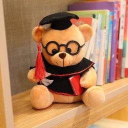 Ours en peluche mignon diplômé jouet animal cadeau de graduation médecin décoration de la maison