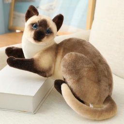 Chat en peluche doux au beurre pour enfants animal en peluche jouets chaton dessin animé réel