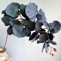 Grande branche d'orchidée papillon noire fleur artificielle décoration de la maison flores