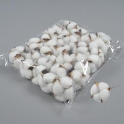 Têtes de fleurs artificielles en coton blanc fleurs décoratives pour bricolage mariage fête à la