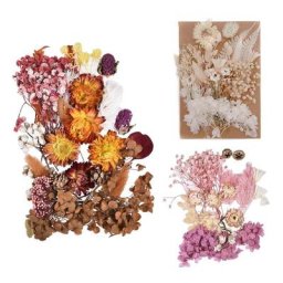 Fleurs séchées en vrac véritables fleurs pressées pour bricolage de bougies pendentifs en époxy