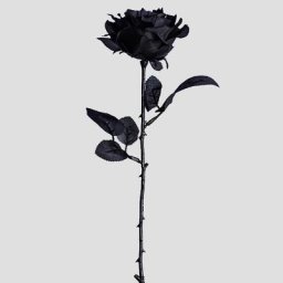 Fausses roses séchées artificielles 51/61cm fausses plantes pour décorer une fête de mariage