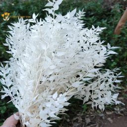 Bouquet de Fleurs Naturelles vaccées pour Centre de Table Ruscus Cuir oral elu Mariage Gand