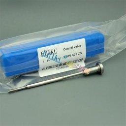 ERIKC – ensemble de Valve d'injecteur F00V C01 022 ensemble de Valve d'alimentation à aiguille