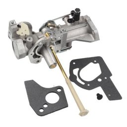 Carburateur pour Briggs & Stratton 498298 495459 492645 490524 692784 495951 495426 492611