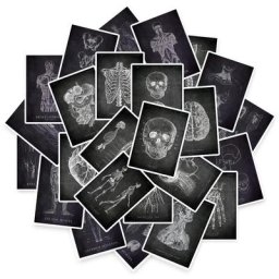 Autocollants imperméables pour ordinateur portable et téléphone affiches de tableau noir modules