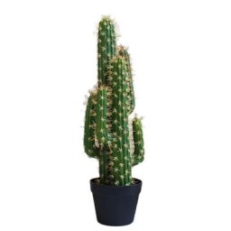 Plantes artificielles de grande taille 38-48cm simulation de succulente faux arbre tropical