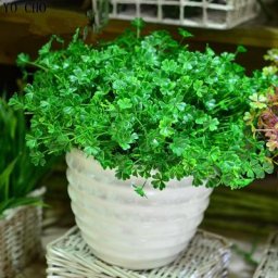 Fleurs artificielles en plastique à quatre scalps plantes vertes Everver décoration florale pour