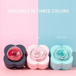 Conteneur de roses artificielles pour boucles d'oreilles colliers bracelets boîte de rangement