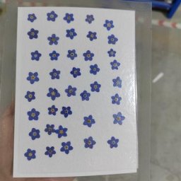 Autocollants de fleurs en résine pour décoration d'ongles 40 pièces motif ""Forget Me Not"" séché