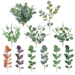 Feuilles d'eucalyptus naturelles Branches plantes immortelles ornement de fond mural pour
