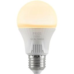 Led Ampoule E27 'E27 led 11W