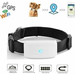 Traqueur gps pour chat et chien avec collier Mini traqueur gps anti-perte suivi en temps rel pour