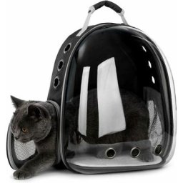Transporteur d'animaux Sac à Dos Transparent Chiens et Chats Sac de Transport Extérieur Conception