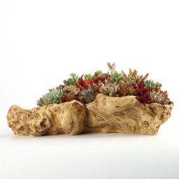 Pots de fleurs artificiels en bois flotté résine succulente Pot de plante Cactus rustique conteneur
