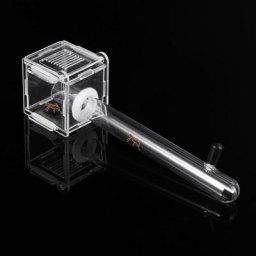 Mini accent de fourmi transparent en acrylique avec tube à essai accent d'alimentation de petite