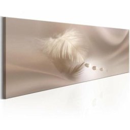 Tableau - Delicate Feather 150x50