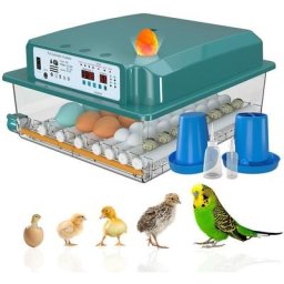 Couveuse Oeuf Automatique 24-36 Oeufs, Incubateur Oeuf Automatique, Retournement Automatique des