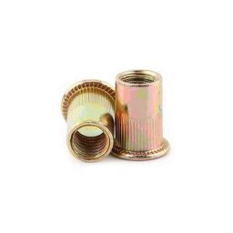 Lot de Ecrous de Rivet Insert Filetage Métrique en Acier au Carbone Zingué (M4 × 100pcs)