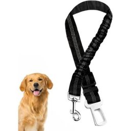 Serbia - Noir - Laisse pour chien 1 pièce, harnais de voiture pour chien en nylon élastique,