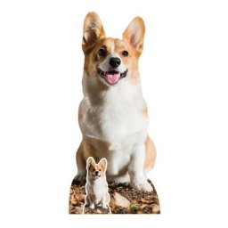 Figurine en carton chien Welsh Corgi Pembroke - chien favori de la reine d’Angleterre Elisabeth
