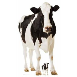Figurine en carton Vache 152 cm