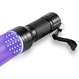 Lampe de poche ultraviolette UV Torch, 21 LED Blacklight UV Flashlight Torch, Lampe torche portable