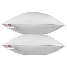 HOMESCAPES Lot de 2 Oreillers en Plumes de Canard, 60 x 60 cm - Blanc