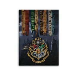 Plaid polaire Harry Potter Blason Griffondor et Château de Poudlard - 100x140 cm