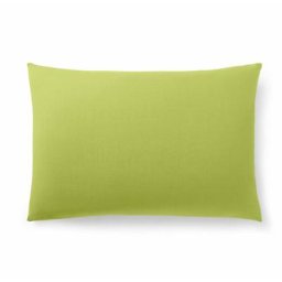 Taie d'oreiller Anis 50 x 70 / 100% Coton / 57 fils/cm² - Vert