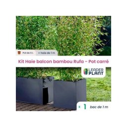 Kit Bambou Fargesia Rufa en pot de 5 Litres avec bac carré et les accessoires de plantation