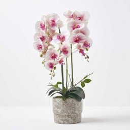 Orchidée artificielle rose en pot en ciment naturel 64 cm - Rose et blanc - Homescapes