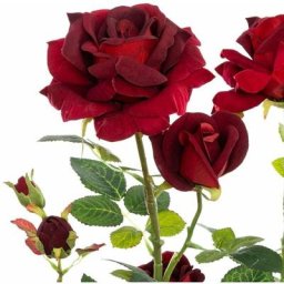 Plante Artificielle Décorative Rosier velours 74cm - Rouge Silumen Rouge