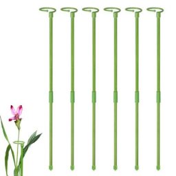 Piquets de support de plante à tige unique haute tige unique anneau de support de plante bâtons