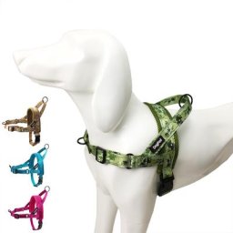 SFP-Harnais de Marche Réglable Facile à Enfiler et à Enlever pour Chiens Moyens et Grands