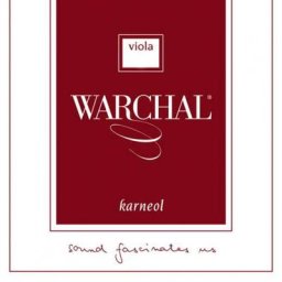 Warchal Karneol Viola 15 - 15 3/4